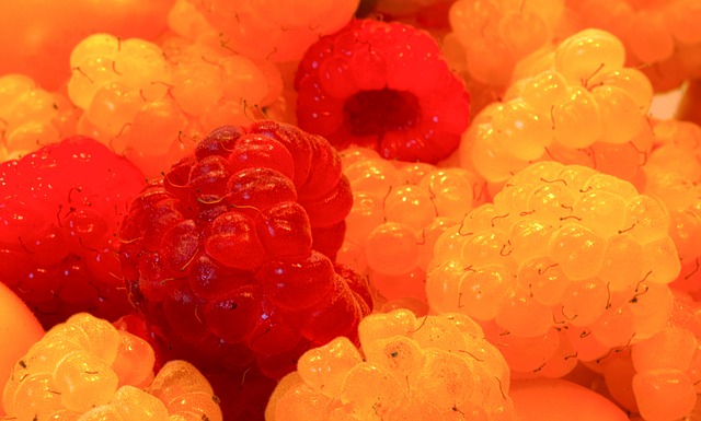 中国搏击老将闯入国际MMA赛事！.